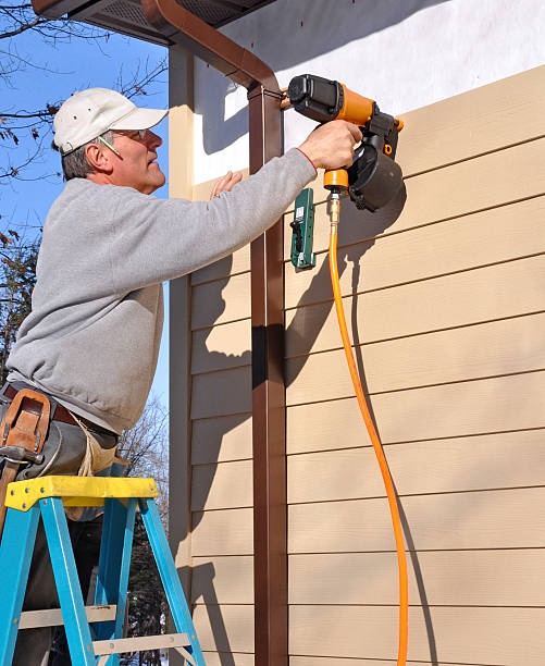 Best Fiber Cement Siding Installation  in Royalton, IL